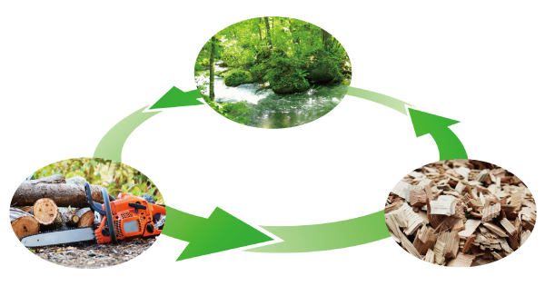 co2循環イメージ