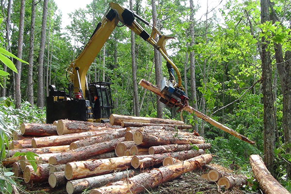 山林整備イメージ