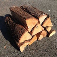 プレミアムクヌギ